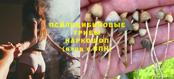 бошки Аркадак