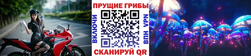 darknet состав  Остров  Псилоцибиновые грибы ЛСД 